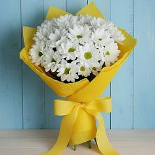 Букет цветов из:  Хризантемы в Пригородном Краснодарского края