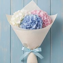 Букет цветов из:  Гортензия в Пригородном Краснодарского края