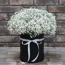 Цветочная композиция из Гипсофила в шляпной коробке в Пригородном Краснодарского края
