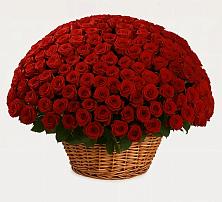 Премиум букет из: Розы в Пригородном Краснодарского края