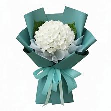 Букет цветов из:  Гортензия в Пригородном Краснодарского края